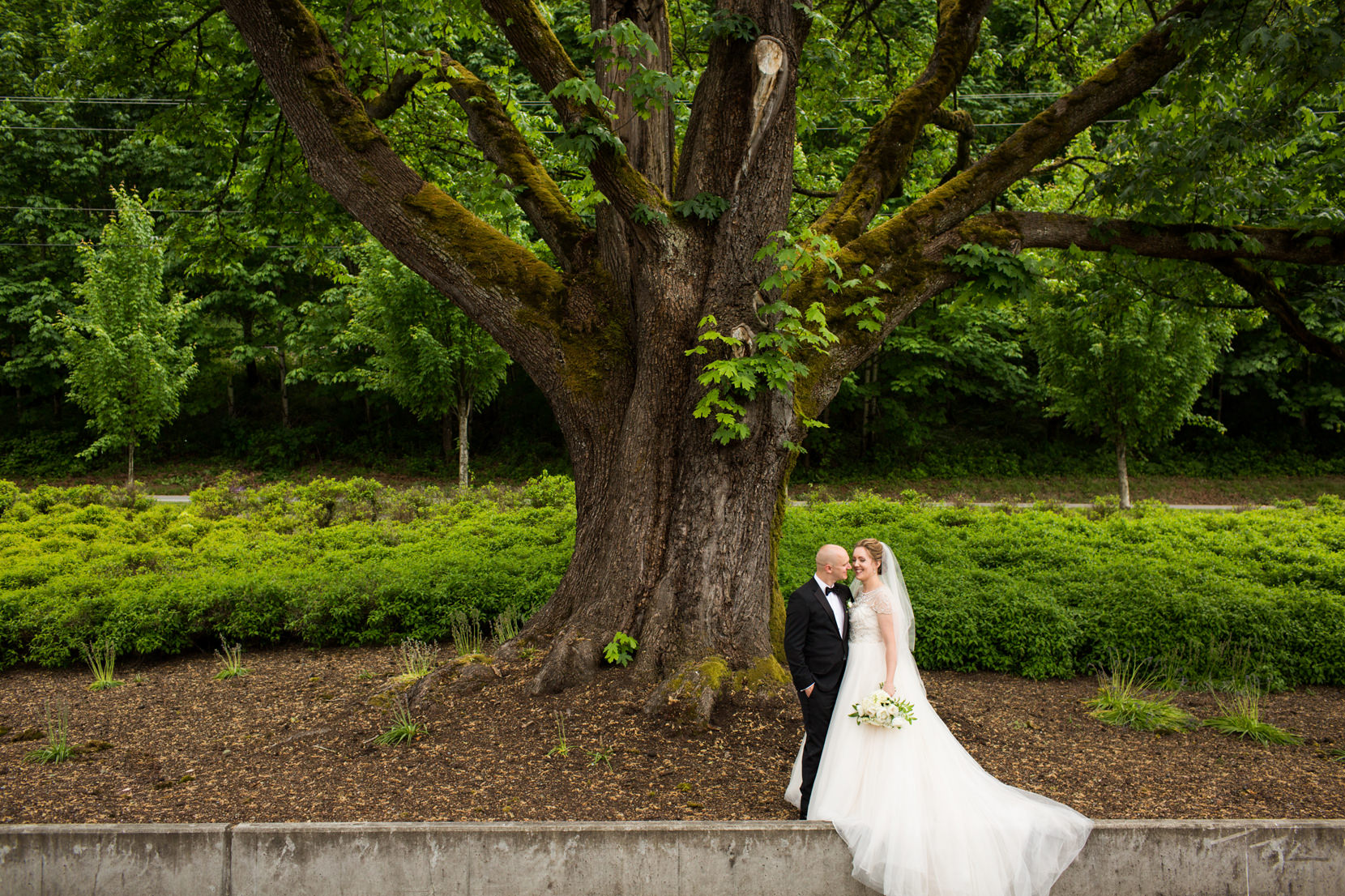 Januik Winery Wedding Photos